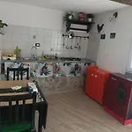 Lotus Flower 3*