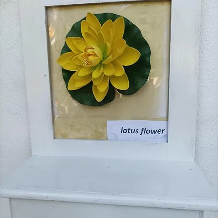 Lotus Flower 3* Sant'Olcese