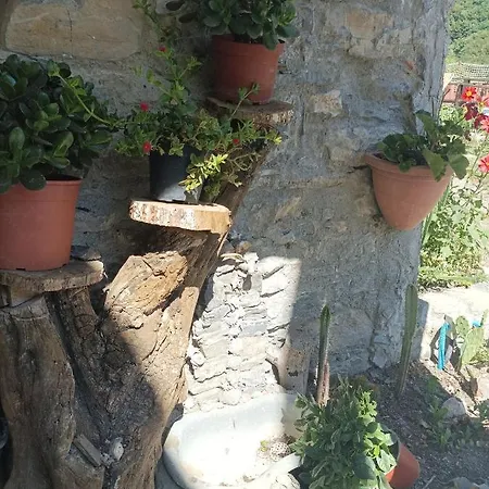 Lotus Flower Sant'Olcese