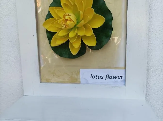 Lotus Flower 3* Sant'Olcese