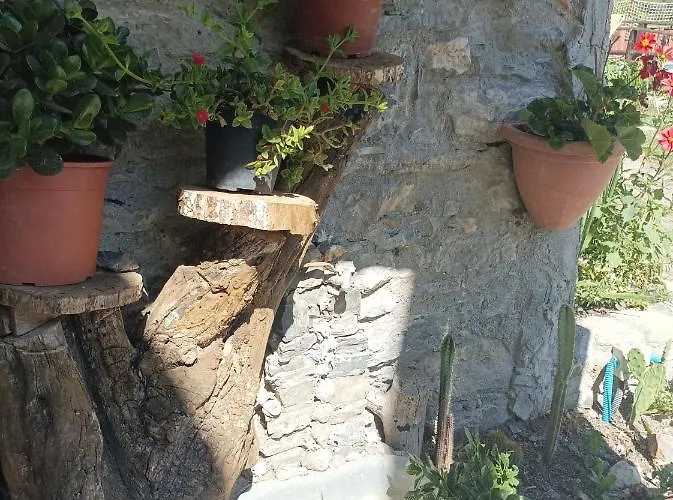 Lotus Flower Sant'Olcese