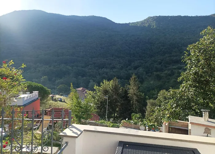 Bed & Breakfast Lotus Flower